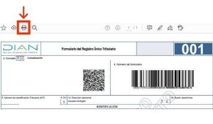 Descargar el RUT - DIAN Colombia